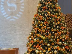 -博林天瑞喜来登酒店·西丽尚膳