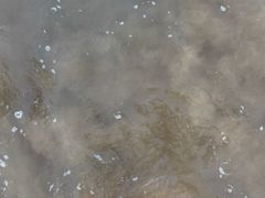 -大京沙滩