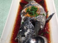 清蒸珍珠斑-南山饭店(阳明古镇店)