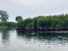 -白洋淀景区