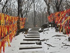 -少华山国家森林公园