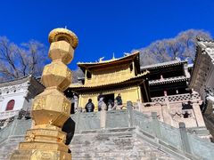 -天天向上素食餐厅(五台山店)