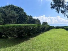 -崇圣寺三塔文化旅游区