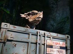 -侏罗纪世界电影特展(广州站)