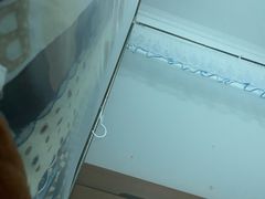 哈密瓜-鲜力达果品批发直销(无锡保利香槟店)