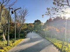 -昆山城市生态森林公园