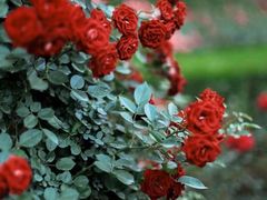 -自由港KTV(王子公主金平店)