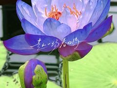 -国家植物园南园