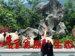 -牛鱼嘴原始生态风景区