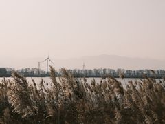 -野鸭湖国家湿地公园