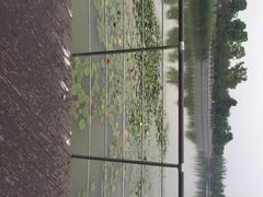 iphone_upload_pic-南翔镇银翔湖公园