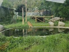 -泉州海丝野生动物世界