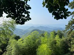 -莫干山风景区
