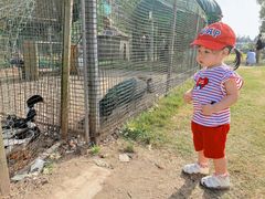 -前小桔亲子创意农场·草莓采摘·露营烧烤