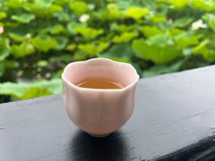 -桂湖森林公园