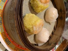 -憶廟街 X 沙角邨(太古城店)