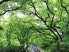 -西湖天地