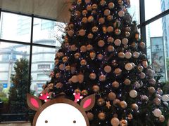 -上海龙之梦万丽酒店