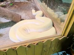 -上海大自然野生昆虫馆(东方明珠·爬宠昆虫探索中心)