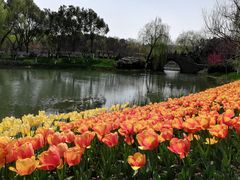 -圩墩遗址公园
