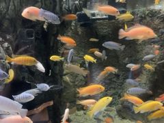 -太平洋海底世界