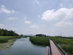 -苏州太湖湖滨国家湿地公园