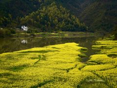 -新安江山水画廊风景区