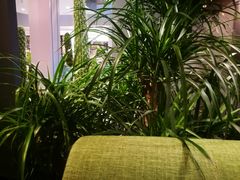 -半悦牛排(龙湖西宸天街店)