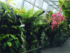 -植物园哈利亚餐厅