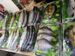 -布尔津河堤夜市