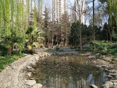 景点-苏州河梦清园环保主题公园