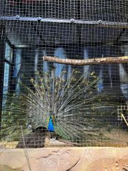 -酷嗒动物文化乐园(cutezoo西溪乐天城店)