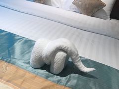 -歌诗达邮轮(宝杨路码头)