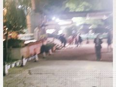 -天怡·鱼工厂(梅溪湖店)