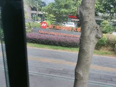 -厦门明发国际大酒店(会展中心环岛路店)