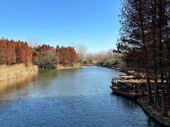 -溱湖国家湿地公园