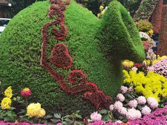 -杭州植物园