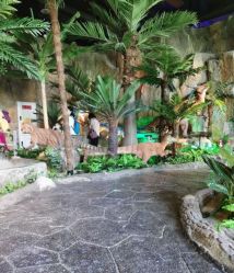 -恐龙探索乐园(磁器口店)