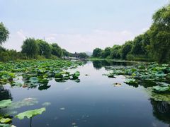 -君豪蟹都·湖景·农家乐(蟹舫苑店)
