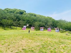 -苏州上方山国家森林公园