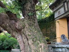 -无锡惠山寺