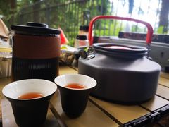 -重庆睡佛山森林公园
