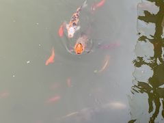 -南京国际会议大酒店