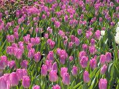 -长春公园(普阳街道)