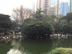 -九龙公园