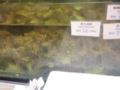 -ZF Seafood Restaurant 卓峰海鲜餐