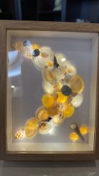 -安琪朵朵独栋花园月子中心