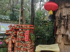-天目湖山水园