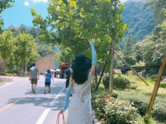 -梦幻奥陶纪景区