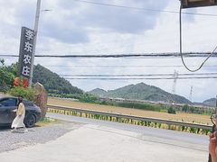 -李东农庄(中南百草园地标店)